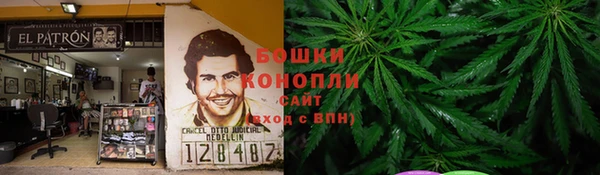 ГАЛЛЮЦИНОГЕННЫЕ ГРИБЫ Алексеевка