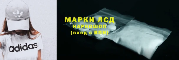 ГАЛЛЮЦИНОГЕННЫЕ ГРИБЫ Абаза