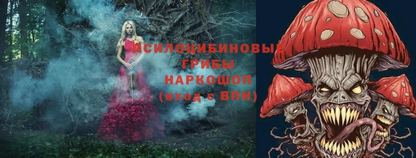 ГАЛЛЮЦИНОГЕННЫЕ ГРИБЫ Алексеевка