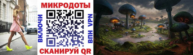 закладки  Новоузенск  Галлюциногенные грибы Magic Shrooms 